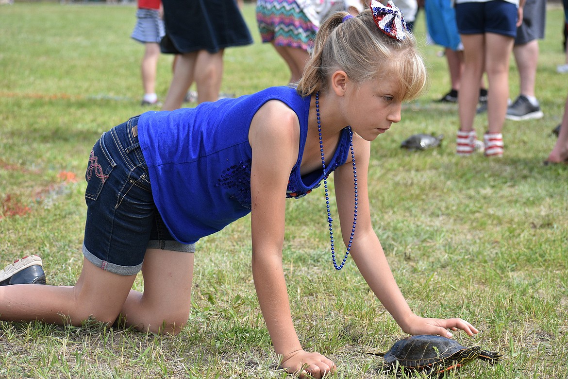 (Photo by DYLAN GREENE) 
 A young girl looks ahead as her turtle nears the finish line.
