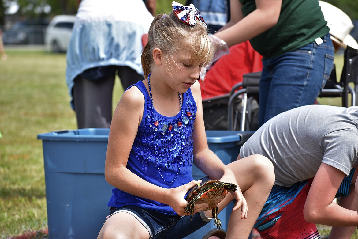 (Photo by DYLAN GREENE) 
 A young girl grabs V8 during the turtle races Saturday.