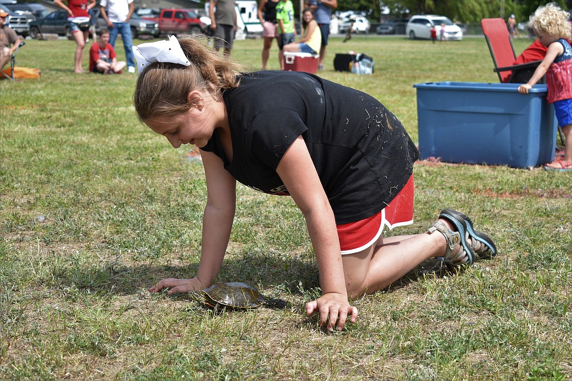 (Photo by DYLAN GREENE) 
 A teenager walks with their turtle and tries to guide them to the finish.