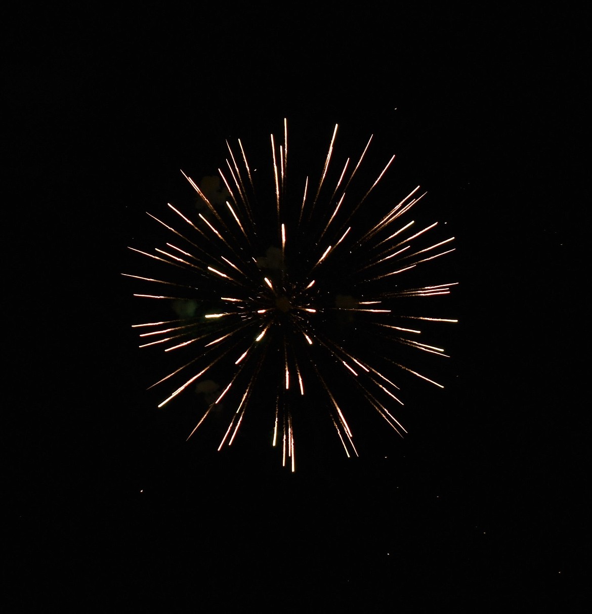 (Photo by DYLAN GREENE) 
 Fireworks lit up the sky above Sandpoint City Beach on Saturday.