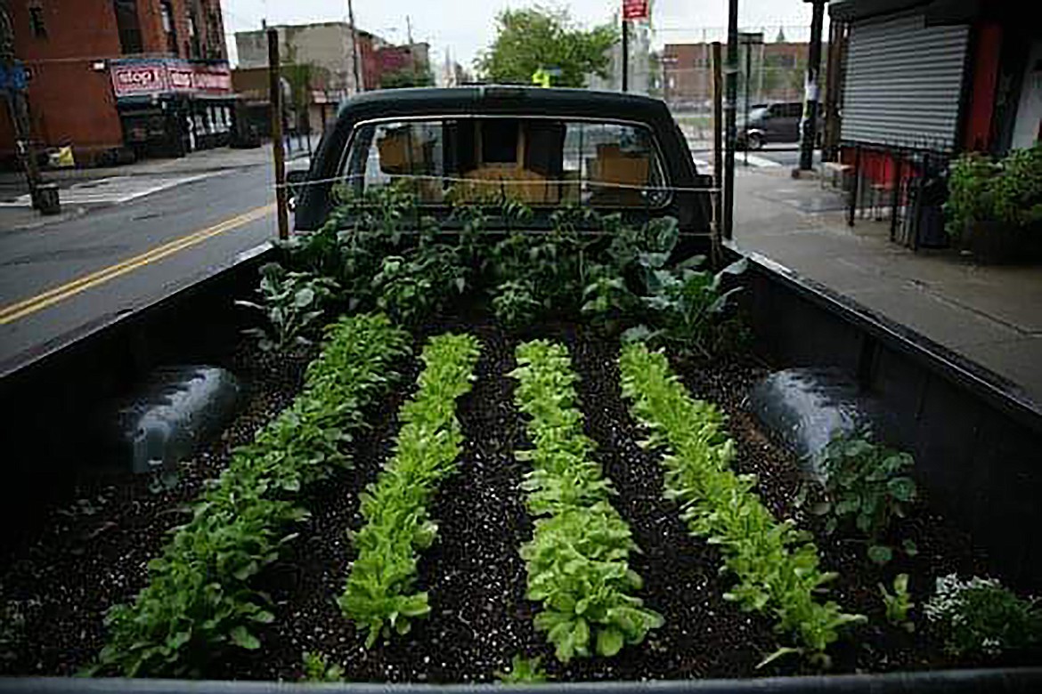 “I love my farmers market, “ writes Nannette Heintzelman. If you have a photo that you took that you would like to see run as a Best Shot or I Took The Bee send it in to the Bonner County Daily Bee, P.O. Box 159, Sandpoint, Idaho, 83864; or drop them off at 310 Church St., Sandpoint. You may also email your pictures in to the Bonner County Daily Bee along with your name, caption information, hometown and phone number to bcdailybee@bonnercountydailybee.com.