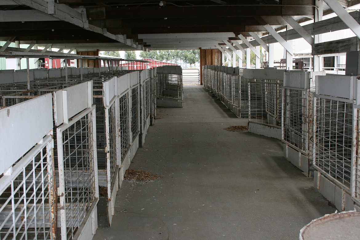Cheryl Schweizer/Columbia Basin Herald 
  
 The fate of a scaled-down livestock show in August at the Grant County Fairgrounds is still uncertain, so livestock barns may remain empty in 2020.