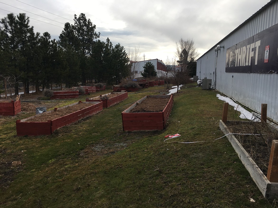 Before shot of the Black Bay Depot back area. (Photo by David Fair)