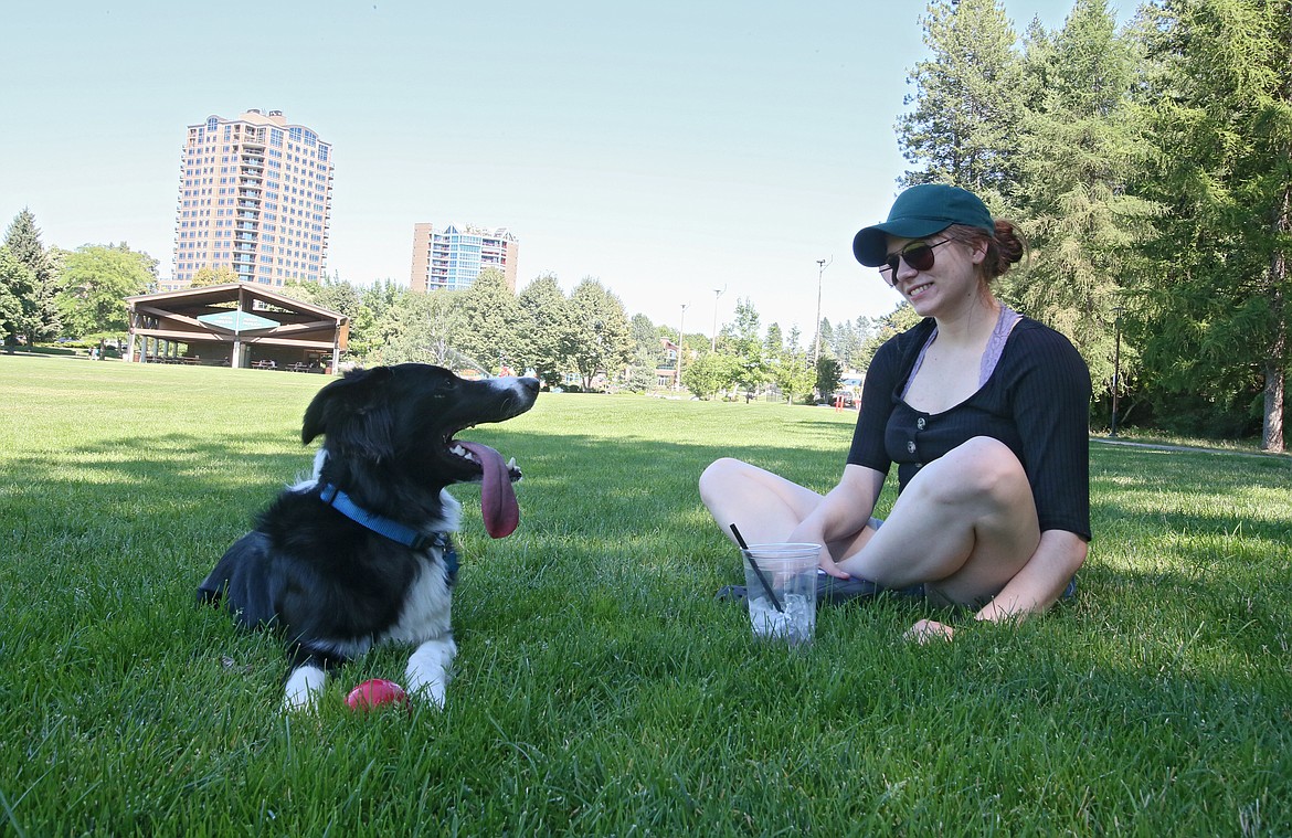Boone the border collie pants in the shade while resting with her owner, Aly Sorrentino of Coeur d'Alene, as the two enjoy a few games of fetch in McEuen Park on Monday. Temperatures will be in the upper 90s this week and possibly 100 on Thursday, so pet owners will want to be sure their animals have proper shade and water. Never leave animals, children or senior citizens in hot cars. (DEVIN WEEKS/Press)