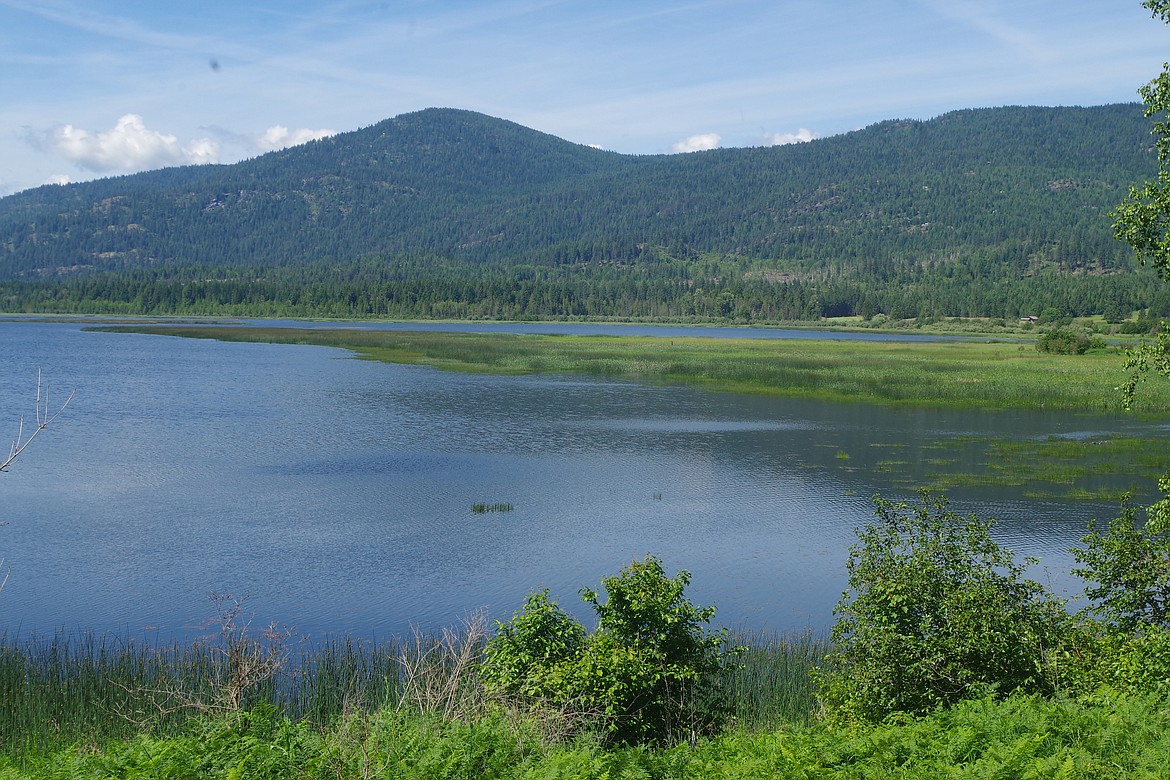 A major conservation achievement in the McArthur Lake WMA has been announced between the Idaho Department of Lands and three timber companies to create more than 18,800 acres of open space with guaranteed public access through IDL’s Forest Legacy Program.