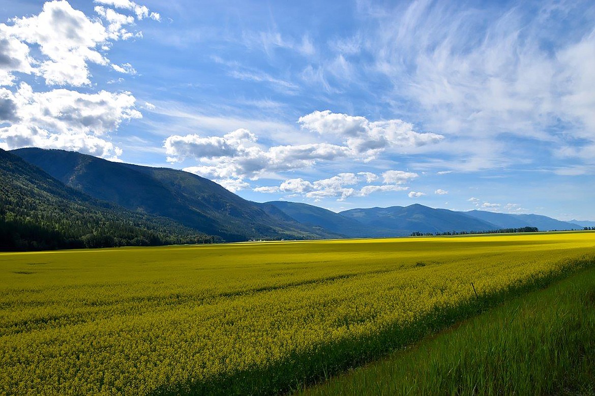 Robert Kalberg took these stunning photos of fields and the river on during a recent “adventure drive” in the Copeland/Porthill area. “The beauty was unbelievable,” he said.