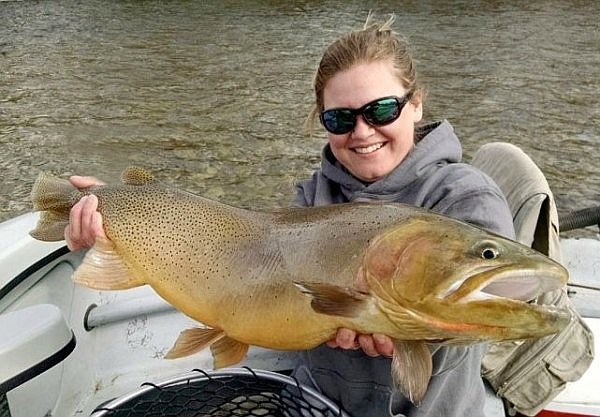 Cyndle Clift caught this huge Yellowstone cutthroat trout in 2016 on the South Fork of the Snake River. The latest catch and release record exceeds it by almost 3 inches. (Photo courtesy of Cyndle Clift)