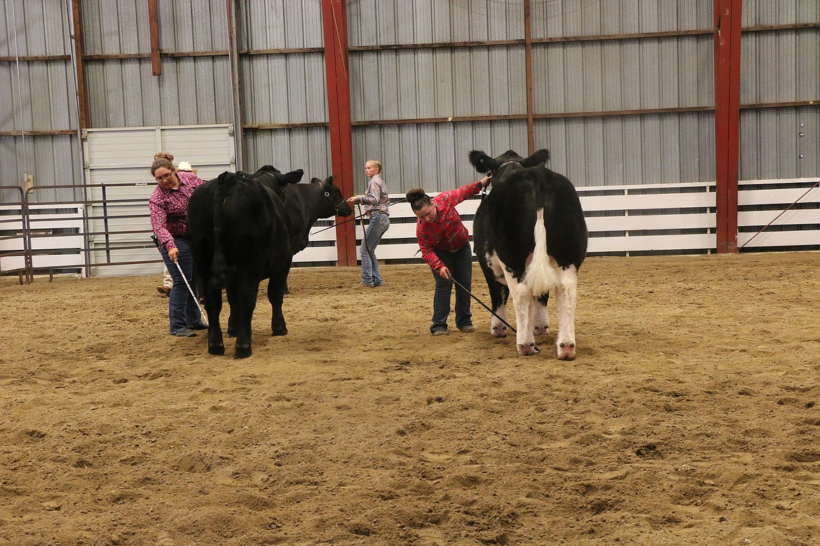 4-H members put their animals through their paces as the Bonner County Fair kicked off on Wednesday.