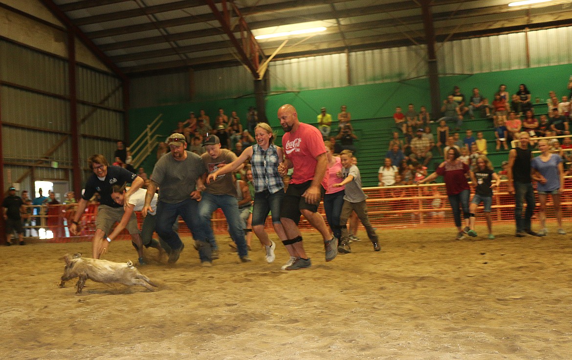 A young pig makes a dash freedom in the annual pig scramble at the 2020 Bonner County Fair.