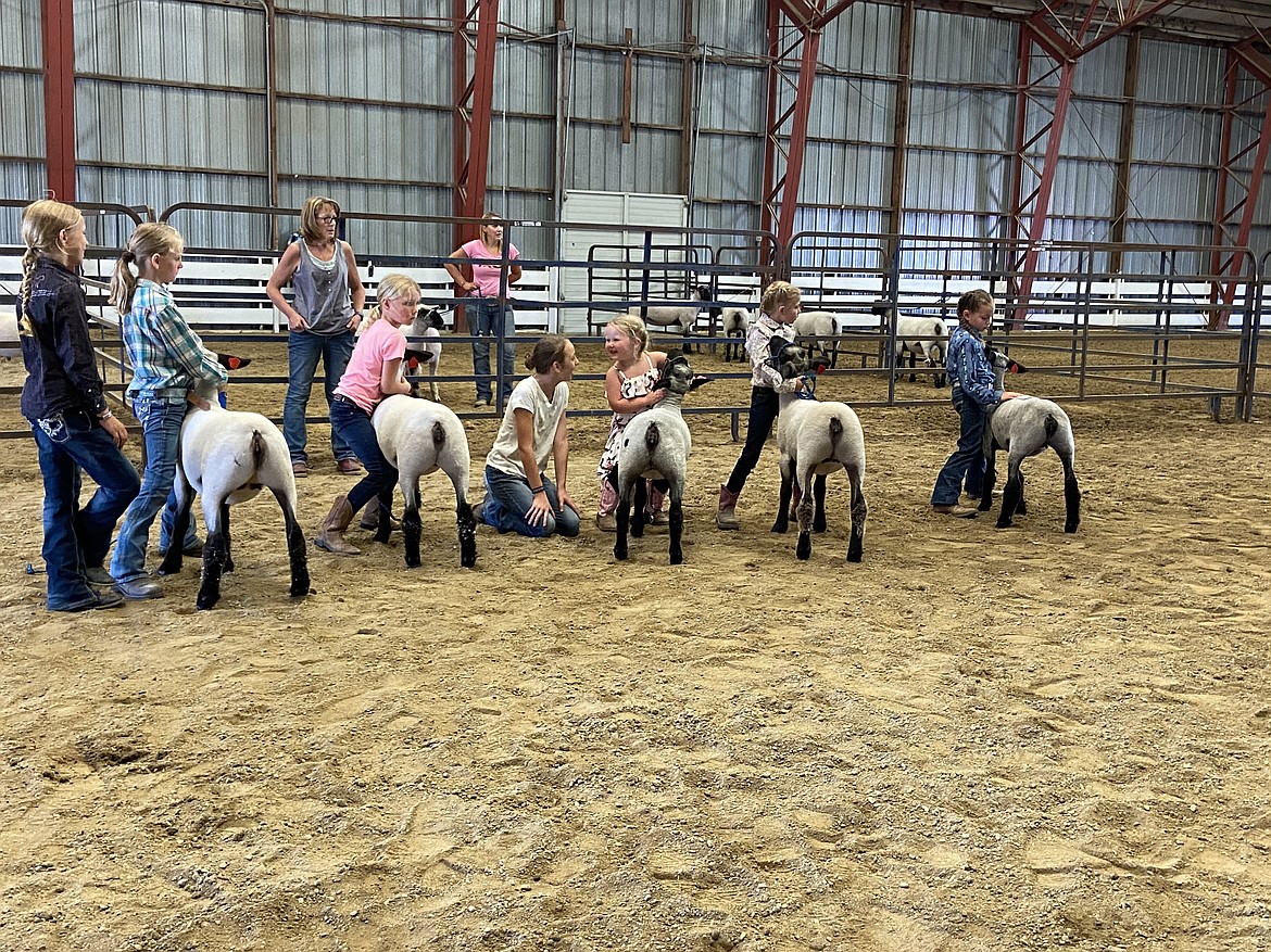 Youngsters show their sheep as the Bonner County Fair kicks off on Wednesday.