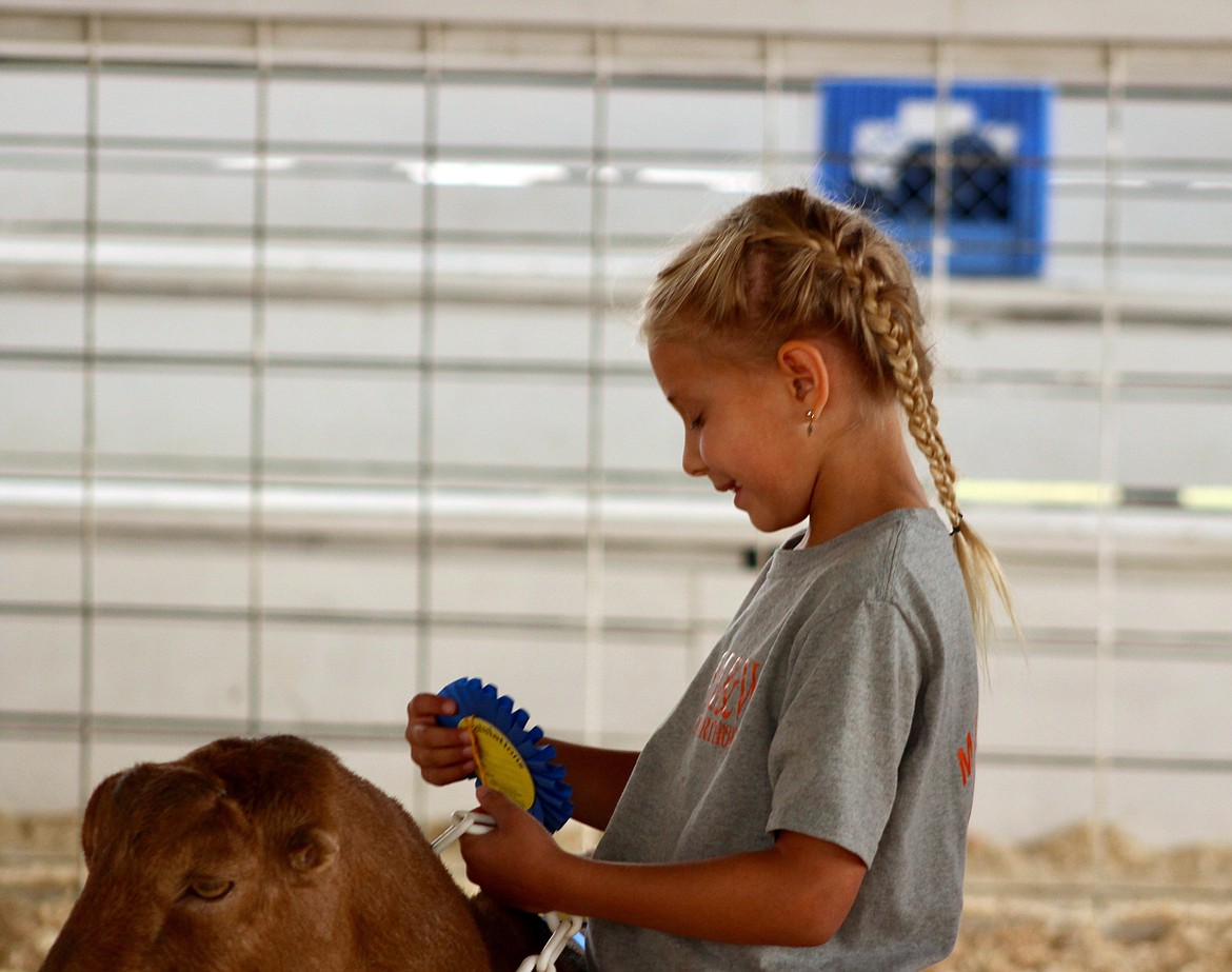 (Photo by HANNAH NEFF) 
 Gaby Thomas, 8, received Grand Champion Pee Wee showman at the dairy goat show Friday morning at the Bonner County Fairgrounds. Kids under the age of 8 at Jan. 1 of the fair year aren’t old enough to meet the age requirement for 4-H but can show in Pee Wee shows. This is Gaby’s third year showing.