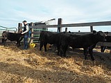 Farm fresh