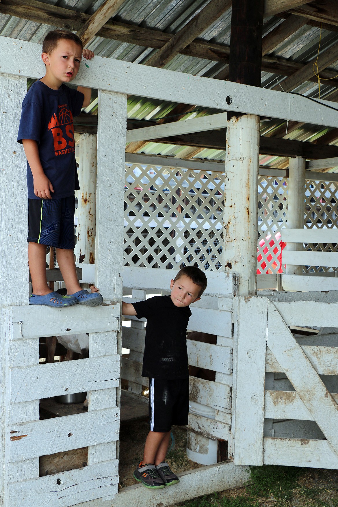 Chase and Pryce Ducken hang out at the Bonner County Fair last week.