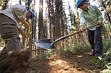 Volunteers needed for three trail projects in September in North Idaho