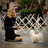 Dog handler Emma Gallaway makes the big time