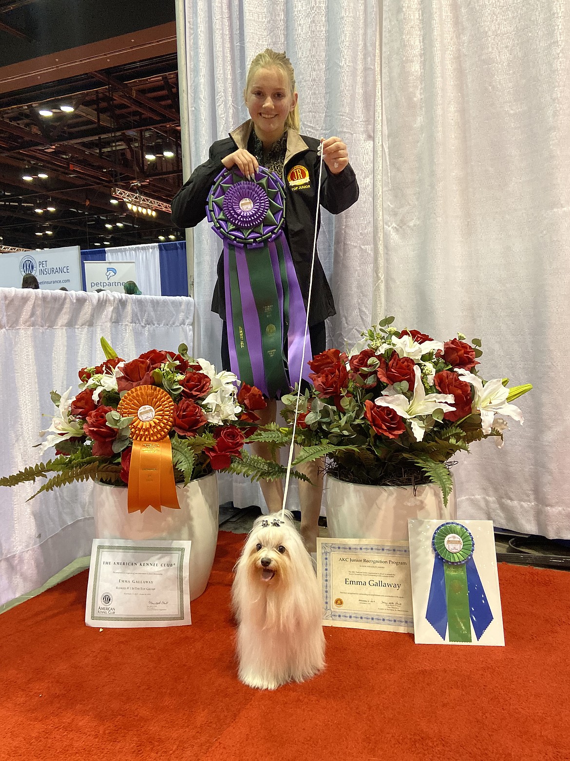 Emma Gallaway and Bently have reached the big time, qualifying for the annual Westchester Kennel Club show in February.