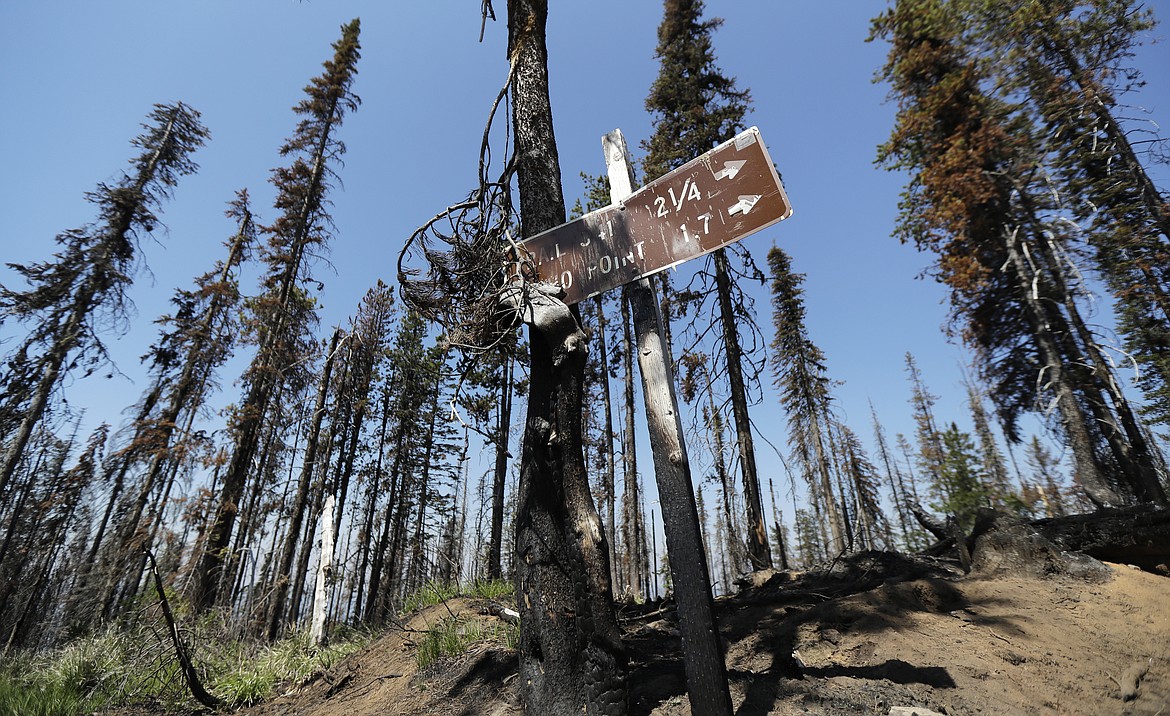 In this Wednesday, July 18, 2018, photo, a trail sign and trees that were burned in a 2017 wildfire stand out from the blue sky a few miles from the Coolwater Fire Lookout in the Nez Perce-Clearwater National Forests near Lowell, Idaho. Fire-lookout towers, perched atop remote, craggy peaks across the U.S. West, may seem like quaint reminders of an era before satellites, smartphones and jet-propelled air tankers, but the structures and the people who staff them play a crucial role in the nation's front-line efforts to stop wildfires. (AP Photo/Ted S. Warren)