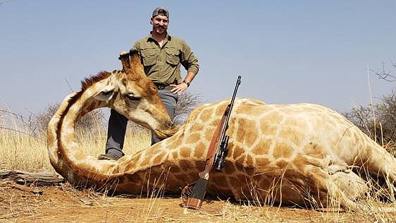 Blake Fischer also shot a giraffe on his trip to Africa. &quot;This photo doesn't do it justice, when we walked up on this guy, it was shocking how big it was. Look at me and the rifle compared to it. It is all I can do to hold the head up,&quot; he wrote in an email to friends and colleagues.  (Idaho governor's office/handout)