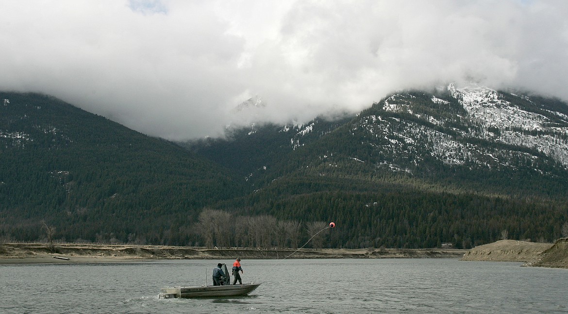 FILE - In this March 7, 2006 file photo Tim Kiser positions an Idaho Fish and Game boat while Seth Richards tosses out a buoy that will mark fishing lines the two fisheries technicians have set on the Kootenai River near Bonners Ferry, Idaho, in hopes of catching mature sturgeon for the nearby Kootenai Tribal Sturgeon Hatchery. Federal officials are revising a 1999 recovery plan as part of a strategy to recover endangered white sturgeon in the Kootenai River in northern Idaho. The U.S. Fish and Wildlife Service is taking public comments through July 29, 2019 on the recently released draft recovery plan revisions. (AP Photo/Ted S. Warren,File)