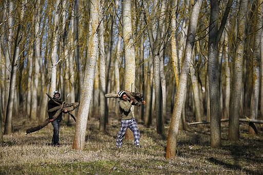 Migrants collect tree trunks to make fire in a field near Edirne, at the Turkish-Greek border on Monday, March 2, 2020. Thousands of migrants on Monday tried to find a way across the land border into Greece, which has made clear its borders will remain closed. Dozens managed to pass, either through border fences or across the river there. (AP Photo/Emrah Gurel)