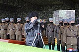 North Korean swagger may conceal brewing virus disaster