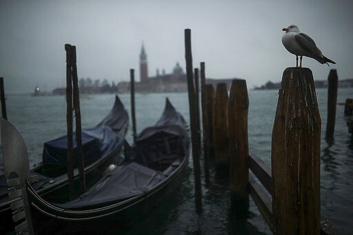 A seagull stands in a pole next to parked gondolas at the lagoon on a rainy day in Venice, Sunday, March 1, 2020. Venice in the time of coronavirus is a shell of itself, with empty piazzas, shuttered basilicas and gondoliers idling their days away. The cholera epidemic that raged quietly through Venice in Thomas Mann's fictional &quot;Death in Venice&quot; has been replaced by a real life fear of COVID-19. (AP Photo/Francisco Seco)