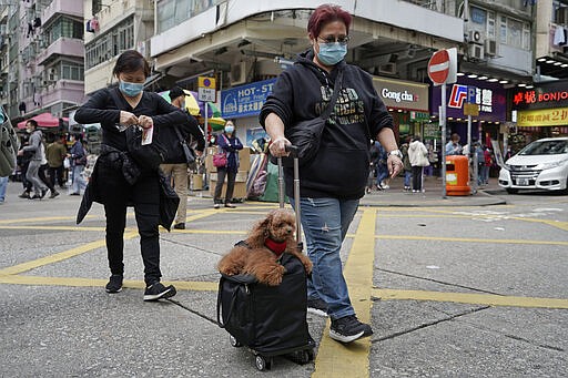 A woman wearing face mask, walks her dogs in Hong Kong, Thursday, March 5, 2020. Pet cats and dogs cannot pass the new coronavirus to humans, but they can test positive for low levels of the pathogen if they catch it from their owner. (AP Photo/Kin Cheung)