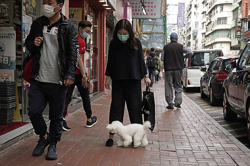 A woman wearing face mask and a dog walk on street in Hong Kong, Thursday, March 5, 2020. Pet cats and dogs cannot pass the new coronavirus to humans, but they can test positive for low levels of the pathogen if they catch it from their owner. (AP Photo/Kin Cheung)