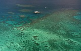 Great Barrier Reef enters crucial period in coral bleaching