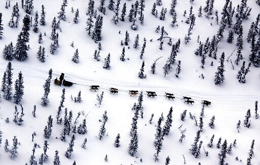 FILE - In this March 11, 2009 file photo Matt Hayashida of Willow, Alaska drives his team alone the Iditarod Trail Sled Dog Race trail near the Takotna, Alaska checkpoint. When 57 mushers line up Sunday, March 8, 2020,  for the official start of the Iditarod Trail Sled Dog Race, it will be the second-smallest field in the past two decades.   (AP Photo/Al Grillo,File)