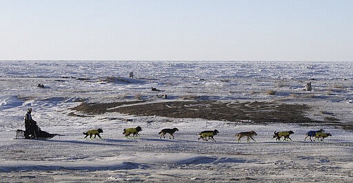 FILE - In this March 16, 2016 file photo Mats Pettersson, of Sweden, mushes along the frozen Bering Sea coast outside Nome, Alaska. Nearly 1,000 miles (1,600 kilometers) of unforgiving terrain, doused in deep snow this year, await them as they cross two mountain ranges, travel on the frozen Yukon River and navigate the treacherous and wind-whipped Bering Sea coast to old Gold Rush town of Nome. (AP Photo/Mark Thiessen,File)