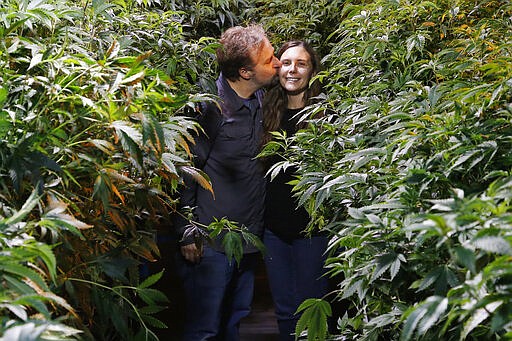 Chip Baker kisses his wife Jessica Baker as they pose for a photo at their marijuana nursery at Baker's Medical, Wednesday, Feb. 26, 2020, in Oklahoma City. When voters in conservative Oklahoma approved medical marijuana in 2018, many thought the rollout would be ploddingly slow and burdened with bureaucracy. Instead, business is booming so much cannabis industry workers and entrepreneurs are moving to Oklahoma from states with more well-established pot cultures, like California, Colorado and Oregon.  (AP Photo/Sue Ogrocki)