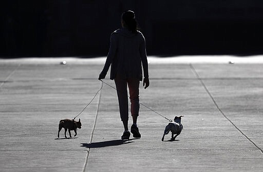 A woman walks her dogs in Mexico City's main square the Zocalo, during the International Women's Day strike &quot;A day without women,&quot; Monday, March 9, 2020. Thousands of women across Mexico went on strike after an unprecedented number of girls and women took to the streets to protest against unbridled gender violence on International Women's Day. (AP Photo / Marco Ugarte)