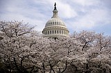 DC mayor declares state of emergency as virus cases rise