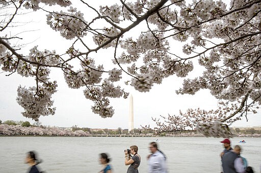 FILE - In this March 30, 2019, file photo people visit the cherry blossom trees along the Tidal Basin in Washington. Washington health officials recommended on Wednesday, March 11, 2020, that all &#147;non-essential mass gatherings, including conferences and conventions,&#148; be postponed or canceled through the end of March, a move that could imperil the popular Cherry Blossom Festival. (AP Photo/Andrew Harnik, File)