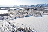 Iditarod's oldest musher quits, another gives dogs CBD oil