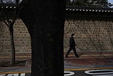 US general: 'fairly certain' North Korea has COVID-19 cases