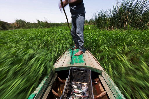 FILE - In this April 12, 2015 file photo, Sayed Ahmed Abdoh poles his boat to check his fish traps in the Nile River, near Abu al-Nasr village, about 770 kilometers (480 miles) south of Cairo, in Egypt. In an interview with The Associated Press on Thursday March 12, 2020, Ethiopia's foreign minister said his country is refusing to be pressured by the U.S. into signing a deal with Egypt and Sudan over Ethiopia's controversial dam on the Nile River. (AP Photo/Hiro Komae, File)