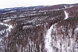 Virus worries prompt some post-race changes for the Iditarod
