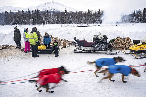 Dogs in Kristy Berington's team leave Takotna, Alaska, Thursday, March 12, 2020, during the Iditarod Trail Sled Dog Race. (Loren Holmes/Anchorage Daily News via AP)