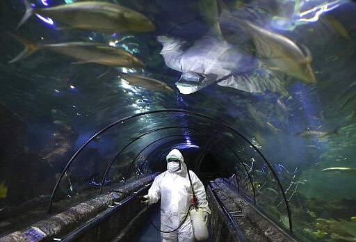 An employee in protective gears sprays disinfectant at the main exhibition tank at the Sea World at Jaya Ancol Dream Park as it is closed for public in the wake of coronavirus outbreak in Jakarta, Indonesia, Saturday, March 14, 2020. Indonesia's capital city announced a lockdown of all tourist destinations and entertainment spots as well as the closing all of its public schools for the next 14 days amid the global outbreak. For most people, the new coronavirus causes only mild or moderate symptoms. For some it can cause more severe illness. (AP Photo/Dita Alangkara)