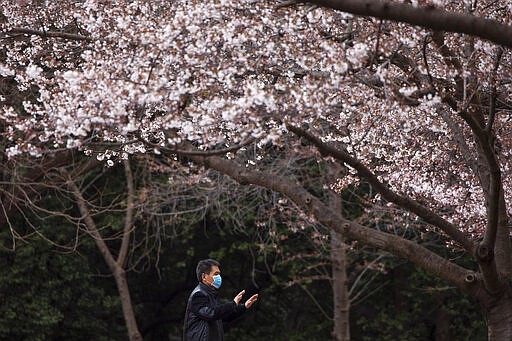 Zhili Sun, practices tai chi under a blooming cherry tree while wearing a mask, Sunday, March 15, 2020, along the tidal basin in Washington. Sun, who is from China, says he was visiting his son in the U.S. when COVID-19 struck and has been unable to get home. (AP Photo/Jacquelyn Martin)