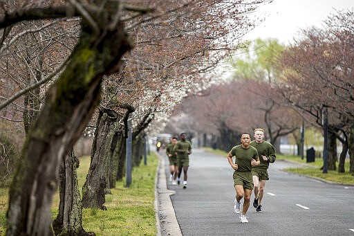 Marines from Joint Base Myer-Henderson Hall, run past cherry trees, some of which have begun to bloom, along the Tidal Basin at East Potomac Park, Friday, March 13, 2020, in Washington. (AP Photo/Andrew Harnik)