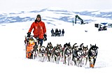 Iditarod loses another major sponsor