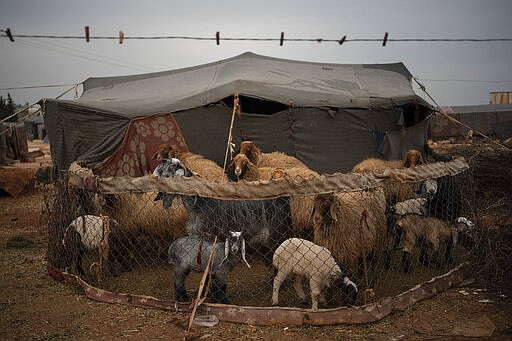 In this Thursday, March 12, 2020 photo, livestock are fenced next to a tent at an informal camp for people displaced by fighting outside of Idlib city, Syria. Idlib city is the last urban area still under opposition control in Syria, located in a shrinking rebel enclave in the northwestern province of the same name. Syria&#146;s civil war, which entered its 10th year Monday, March 15, 2020, has shrunk in geographical scope -- focusing on this corner of the country -- but the misery wreaked by the conflict has not diminished. (AP Photo/Felipe Dana)