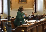 SC Senate OKs $45M to fight virus; debates emergency plan