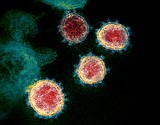 Trump focuses attention on possible coronavirus treatments