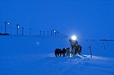 A day after musher wins Iditarod, others face woes on trail