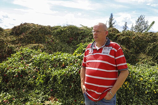 In this photo taken Thursday, March 19, 2020, farm owner Jack Kneppers stands by piles of roses that are being thrown away at Maridadi Flowers farm in Naivasha, Kenya. With lockdowns and border restrictions around the world because of the coronavirus, the multibillion dollar flower industry in countries such as Kenya and the Netherlands has slumped. For many people the new coronavirus pandemic causes mild or moderate symptoms but for some it can cause severe illness. (AP Photo/Patrick Ngugi)