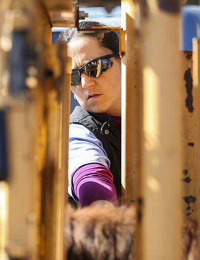 In this Tuesday, March 10, 2020 photo, Alana McNutt, a veterinarian at Tipton Veterinary Services, vaccinates cattle belonging to Brad Albaugh on a farm belonging to Nick Stines of rural Lisbon, Iowa. McNutt works on both large and small animals at the veterinary clinic. (Rebecca F. Miller/The Gazette via AP)